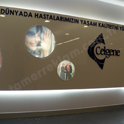 Celgene Lazer Kesim Pleksiglass Logo almas